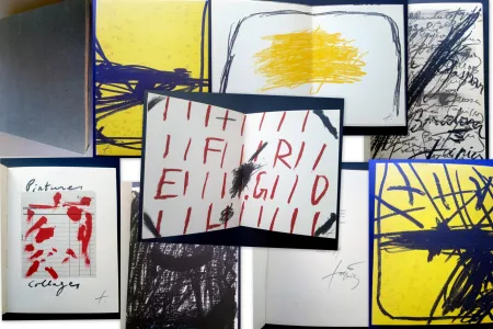 Geïllustreerd Boek Tàpies - Catálogo especial 1969