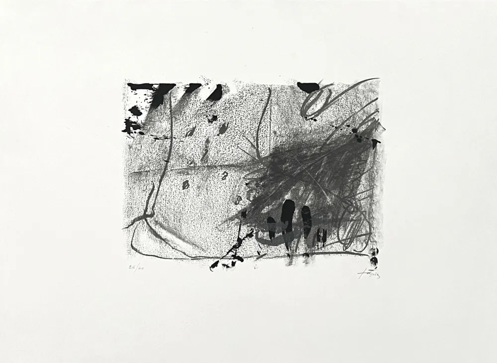 Lithografie Tàpies - Composición