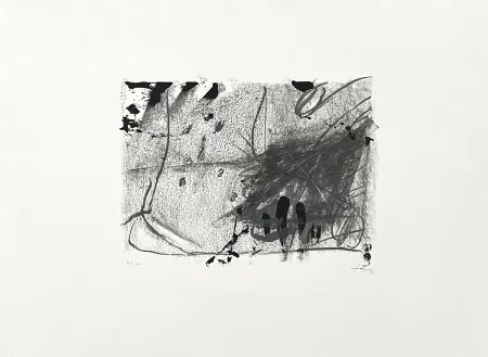 Lithografie Tàpies - Composición