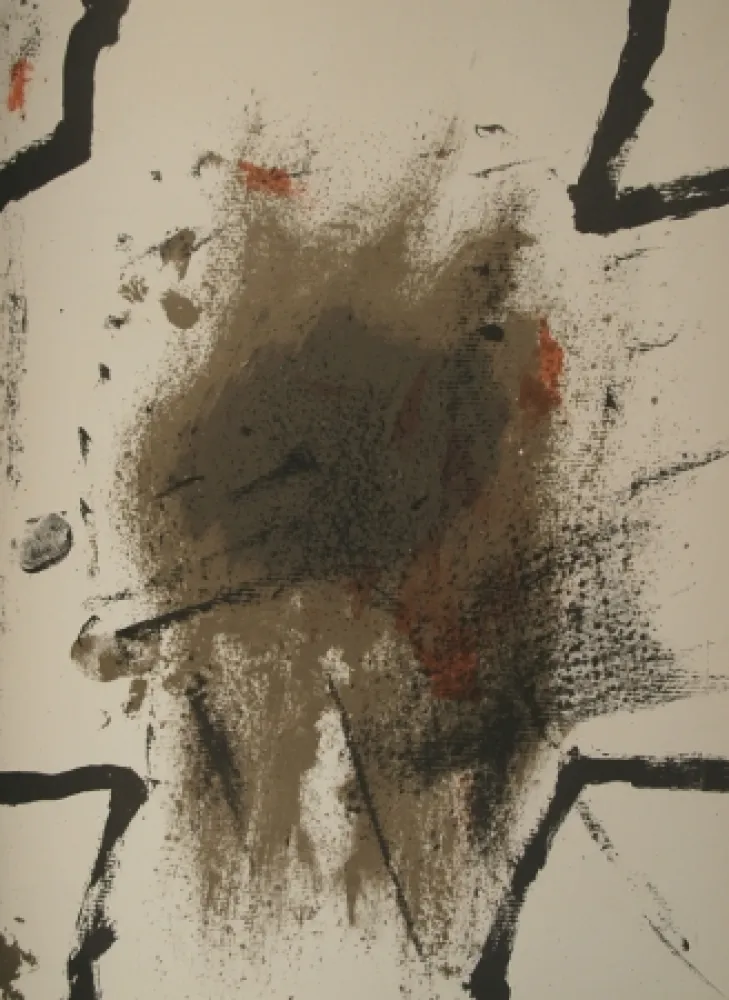 Geïllustreerd Boek Tàpies - Derriere le Miroir n.175