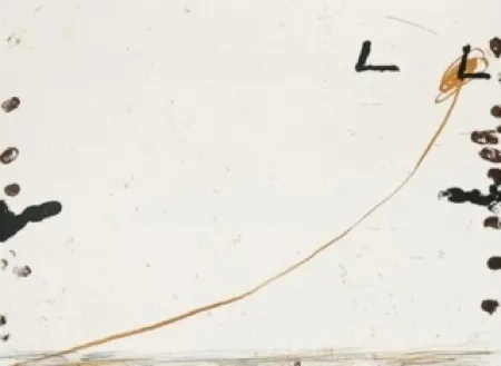 Lithografie Tàpies - Dib-1