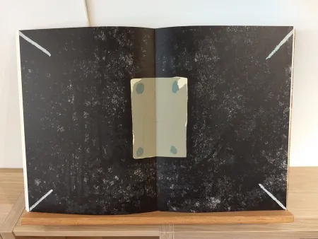 Geïllustreerd Boek Tàpies - DLM175