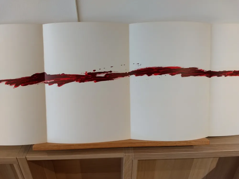 Geïllustreerd Boek Tàpies - Dlm180