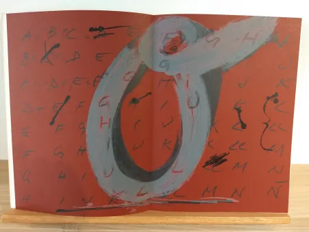 Geïllustreerd Boek Tàpies - DLM200