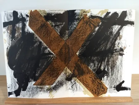 Geïllustreerd Boek Tàpies - DLM200