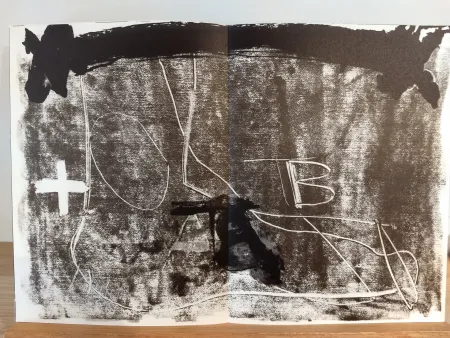 Geïllustreerd Boek Tàpies - DLM210