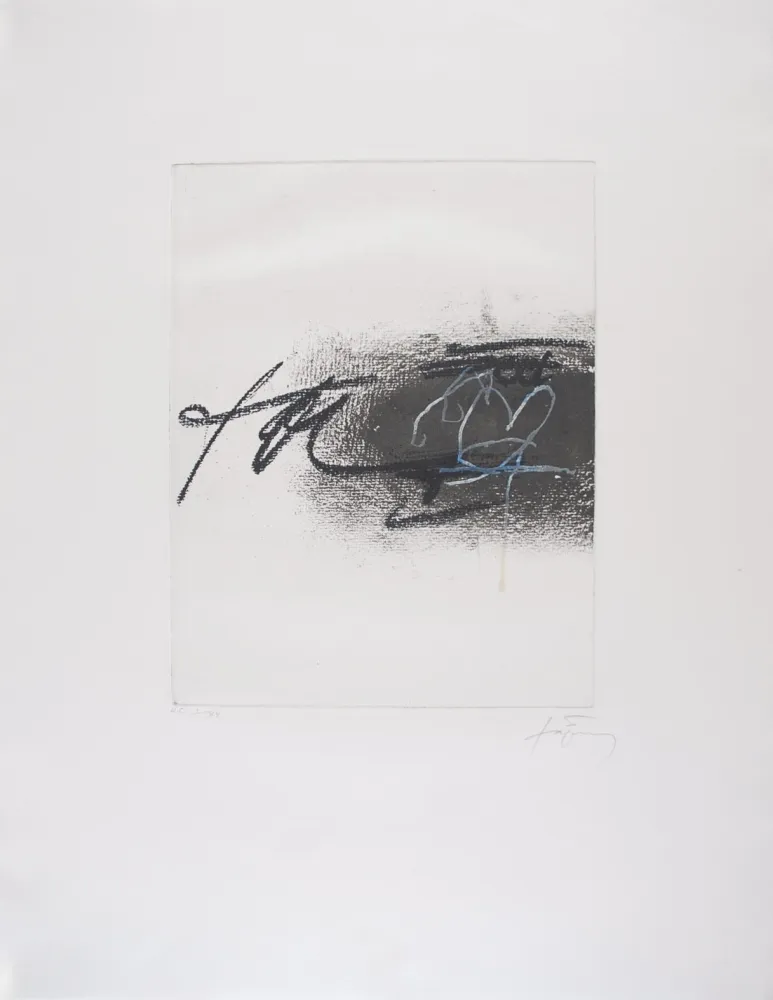 Ets Tàpies - EQUATION II