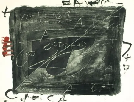 Ets Tàpies - ESGRAFIATS DAMUNT NEGRE