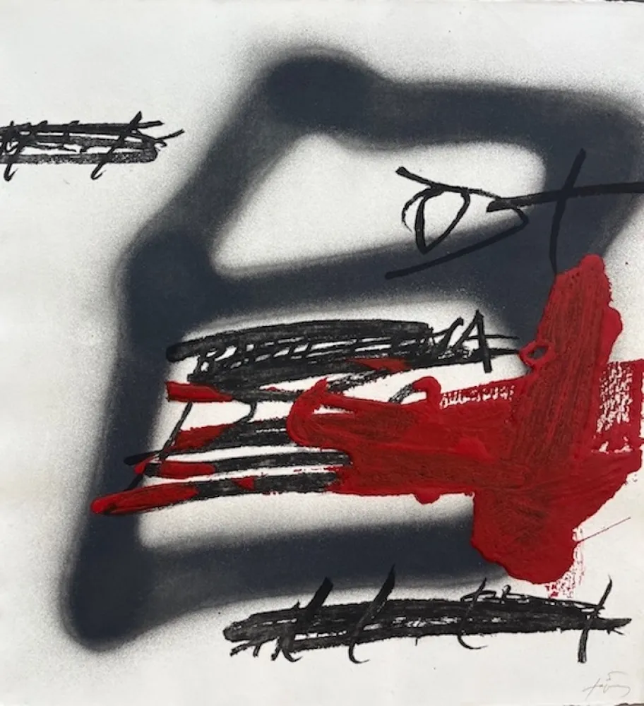 Ets En Aquatint Tàpies - Forma ombrejada