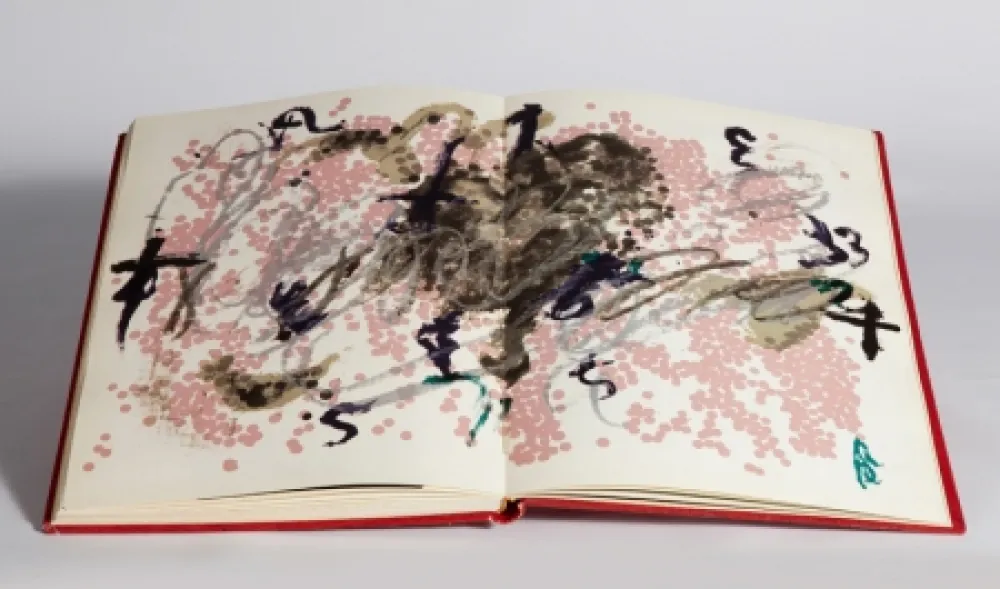 Geïllustreerd Boek Tàpies - Fregolí 