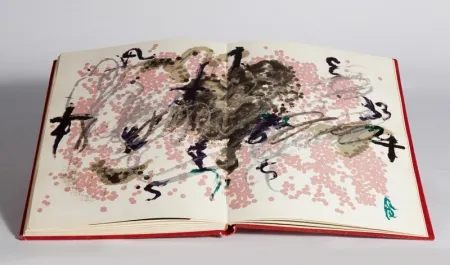 Geïllustreerd Boek Tàpies - Fregolí 