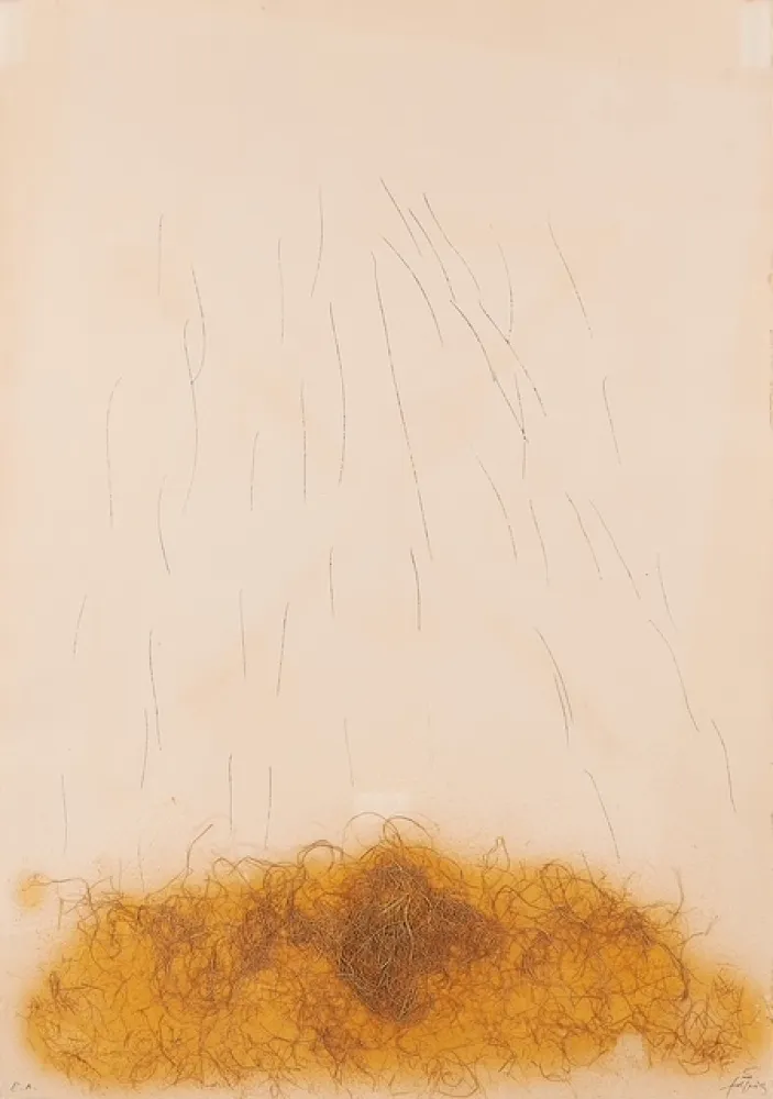 Ets Tàpies - LE CRIN