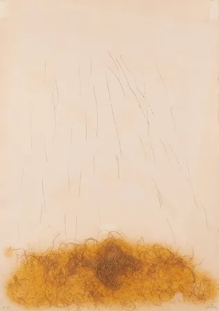 Ets Tàpies - LE CRIN