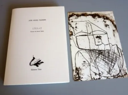 Geïllustreerd Boek Tàpies - L'éclat - Tàpies