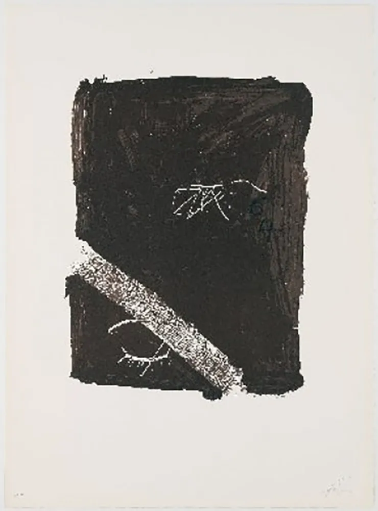 Lithografie Tàpies - Llambrec-5