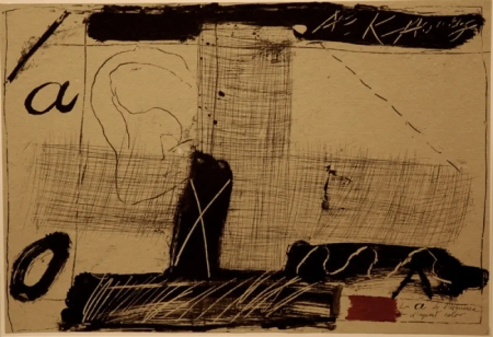 Geïllustreerd Boek Tàpies - Llambrec material