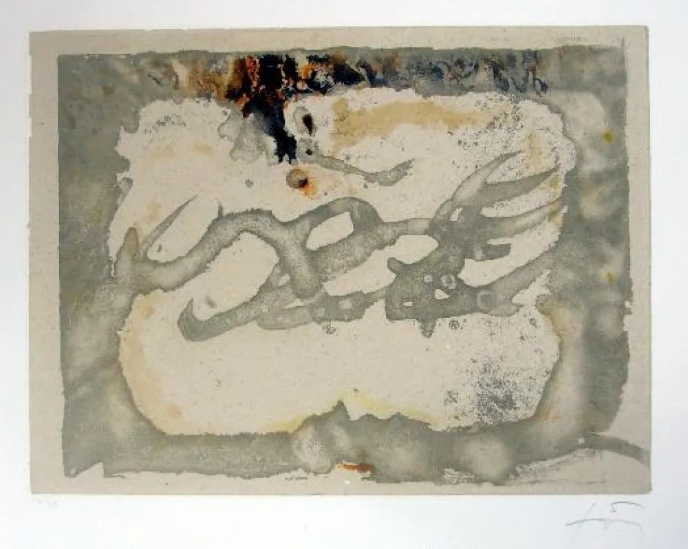 Ets En Aquatint Tàpies - Muntanyes