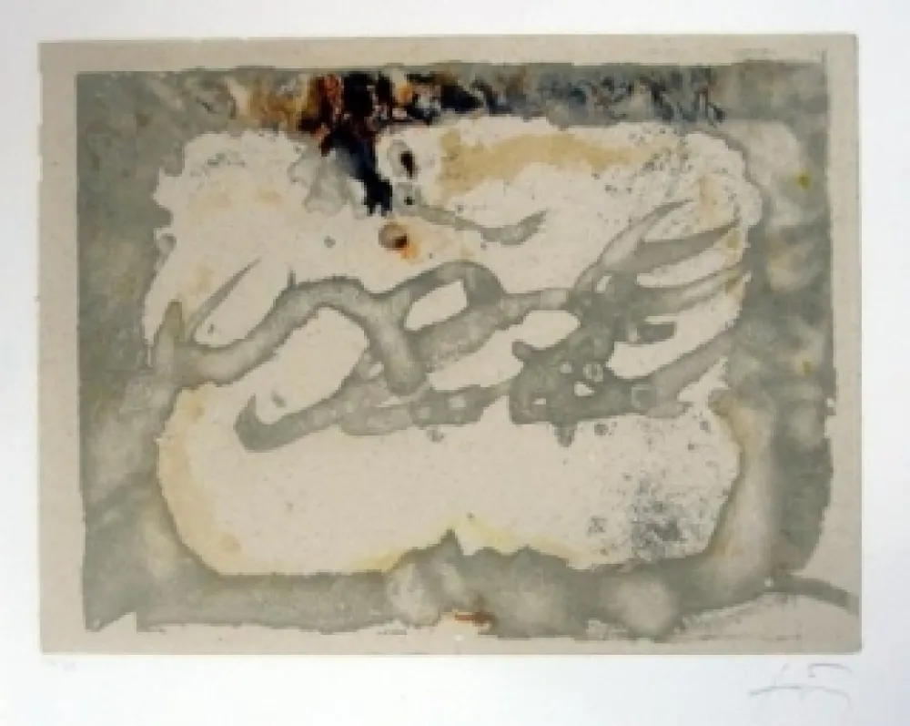 Ets En Aquatint Tàpies - Muntanyes