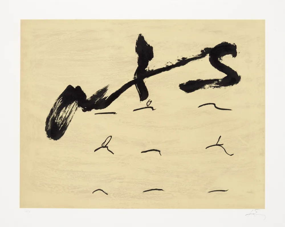 Lithografie Tàpies - Neuf tirets