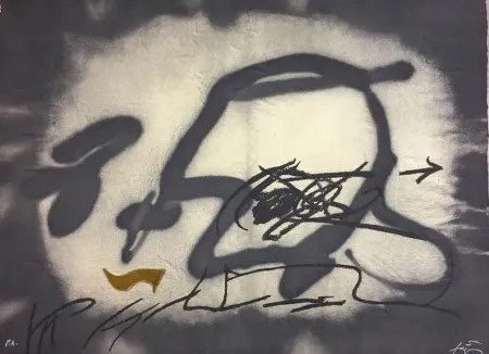 Ets Tàpies - Perfil