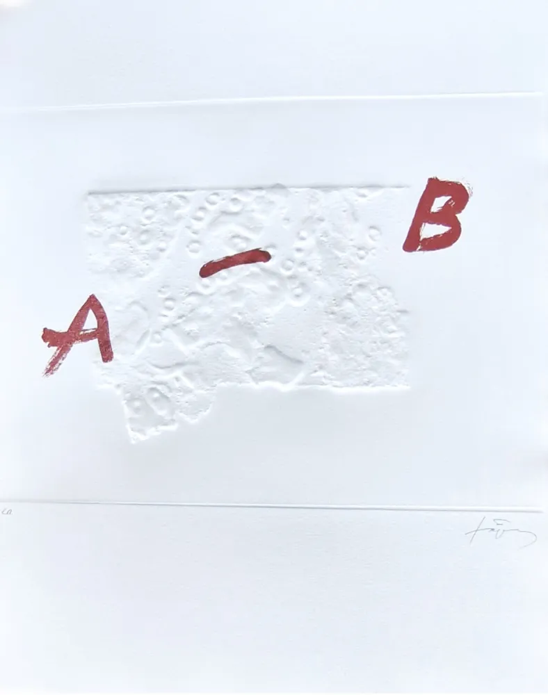 Gravure Tàpies - Plus beau cadeau