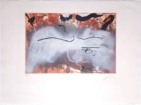 Ets En Aquatint Tàpies - Sans Titre