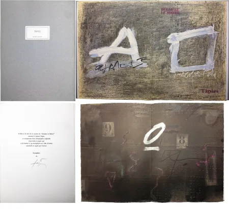 Geïllustreerd Boek Tàpies - TÀPIES. 