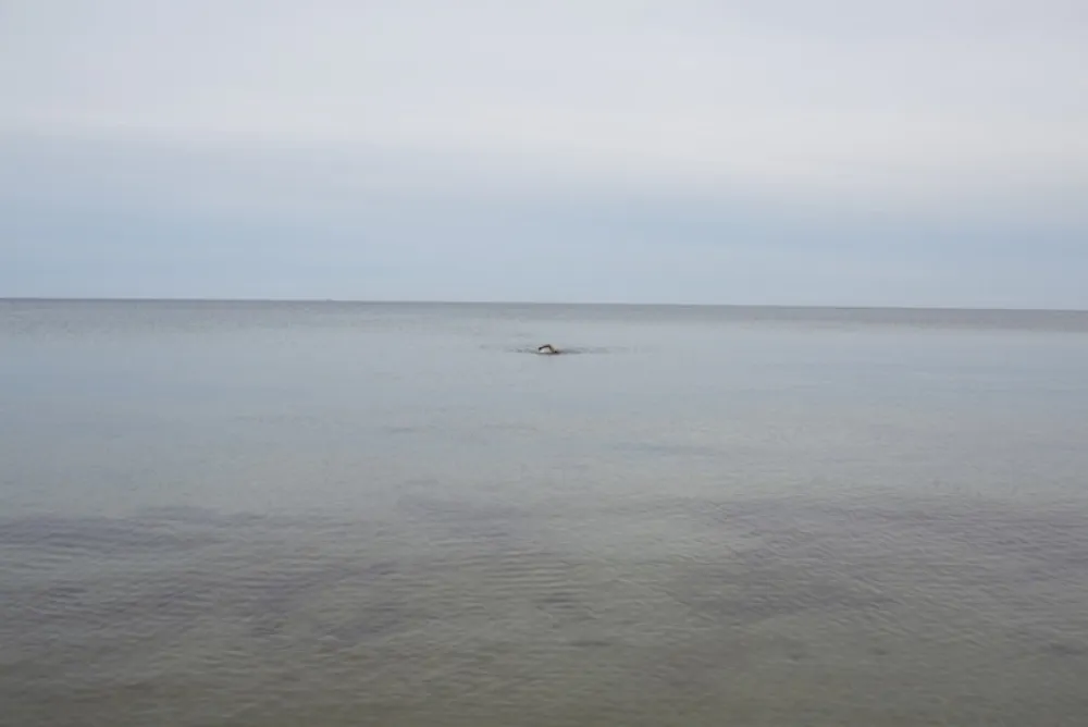 Geen Techniek Teller - Swimming, Glemmingebro, Sweden 2015