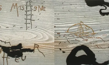 Geïllustreerd Boek Texier - Ex-voto