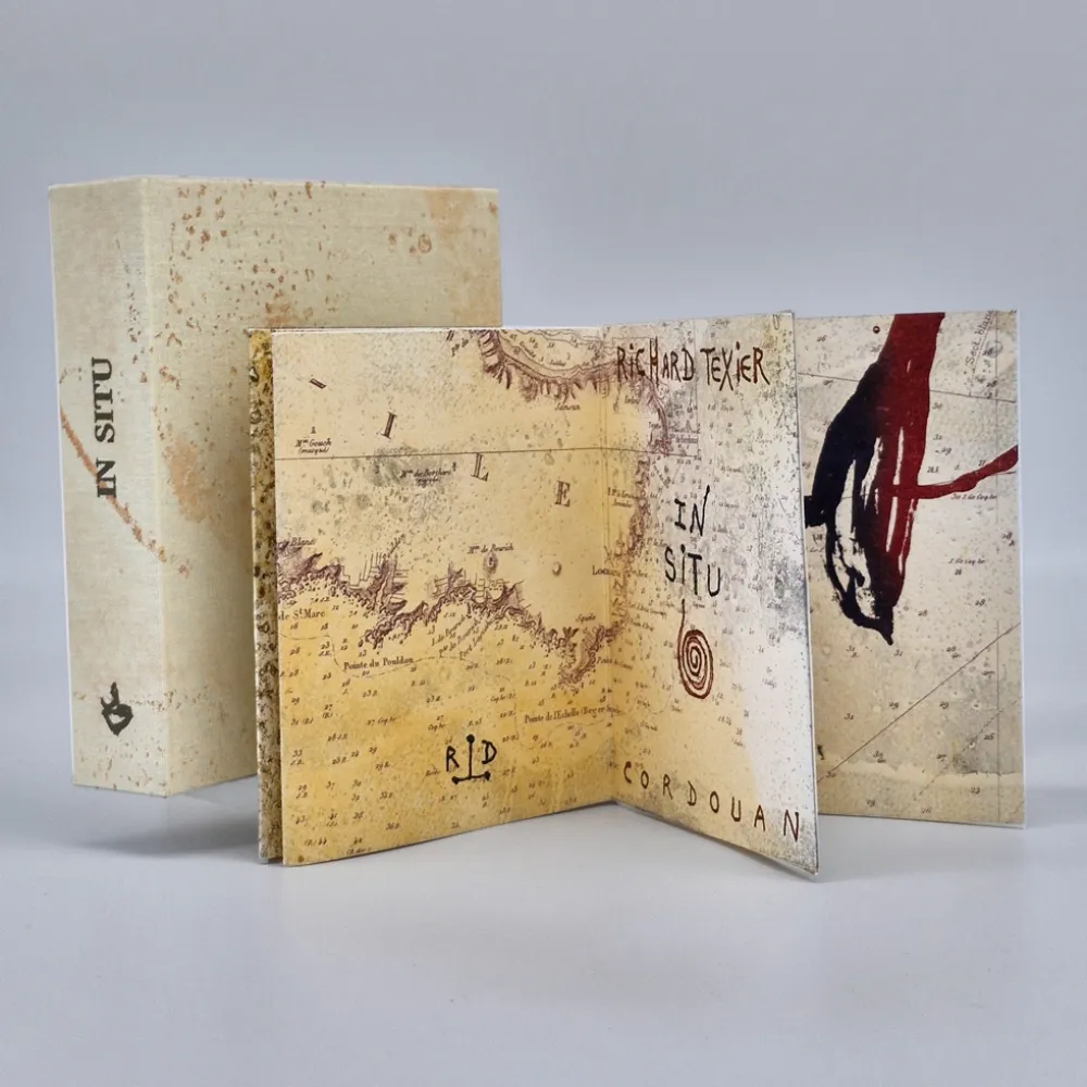 Geïllustreerd Boek Texier - In situ