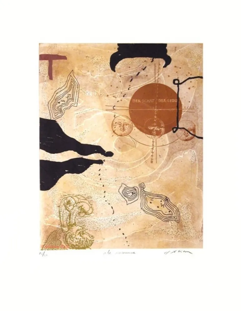 Gravure Texier - L'île inconnue