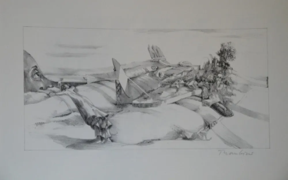 Lithografie Thomkins - 