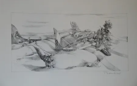 Lithografie Thomkins - 