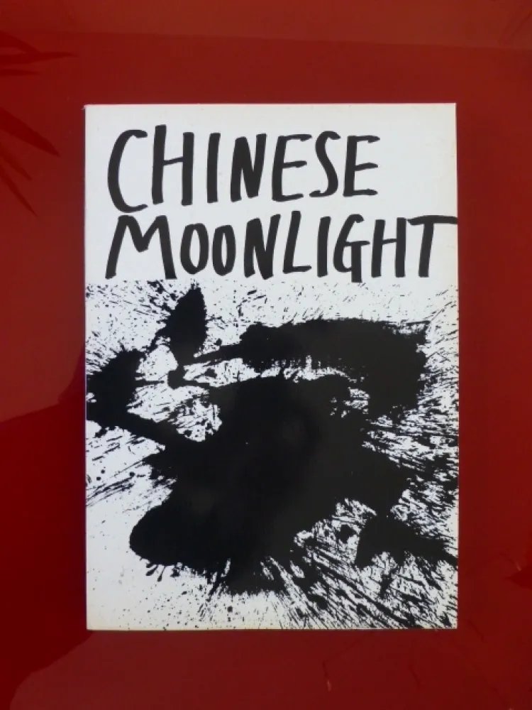 Geïllustreerd Boek Ting - Chineese moonlight 