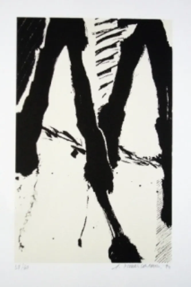 Zeefdruk Titus Carmel - Cairn