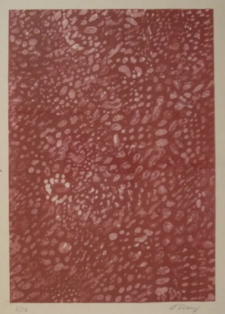 Lithografie Tobey - Komposition.