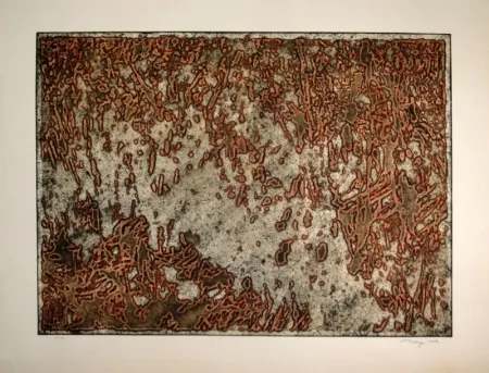 Aquatint Tobey - Message from a desert Star