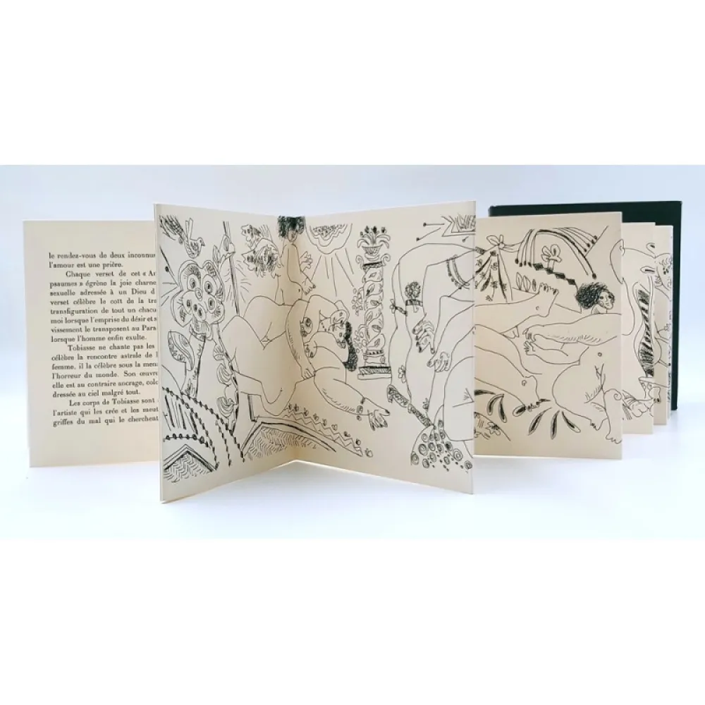 Geïllustreerd Boek Tobiasse - Amour couleur de Psaumes