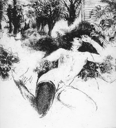 Geïllustreerd Boek Toccacieli - Occhi antichi