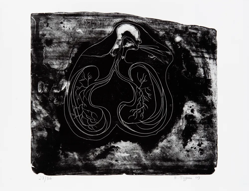 Lithografie Toguo - Reasons to love