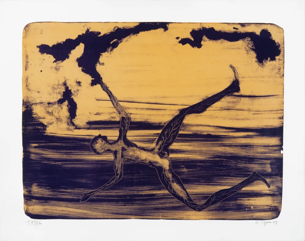 Lithografie Toguo - Spring cleaning