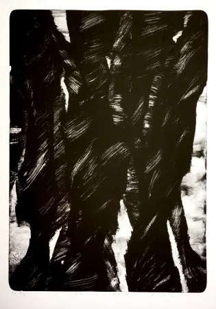 Lithografie Tøjner - Dark shadows of central park