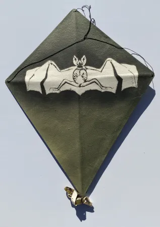 Geen Techniek Toledo - Bat on Green Background Kite
