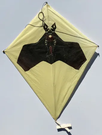 Geen Techniek Toledo - Bat on Yellow Background Kite