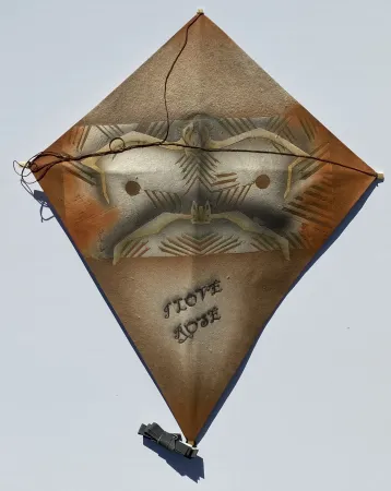 Geen Techniek Toledo - Bats Kite