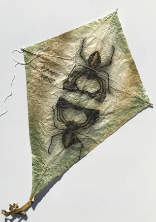 Geen Techniek Toledo - Black Spiders Kite