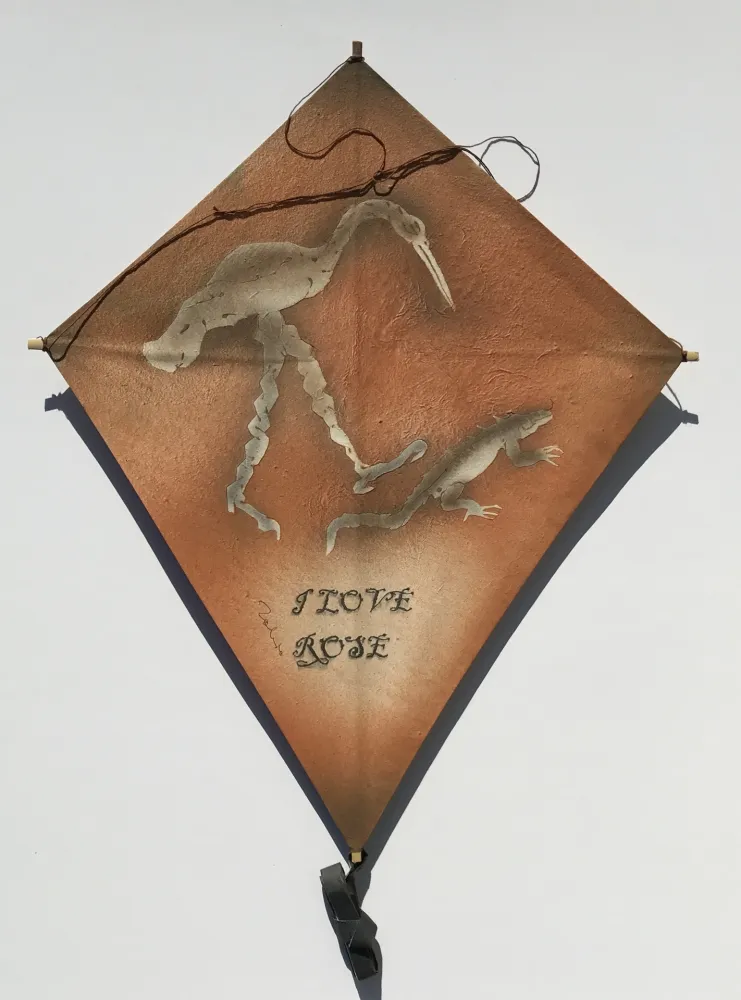 Geen Techniek Toledo - Crane and Iguana Kite