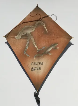 Geen Techniek Toledo - Crane and Iguana Kite