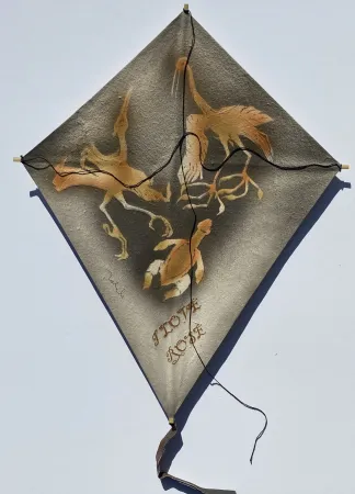 Geen Techniek Toledo - Cranes with Sea Turtle Kite