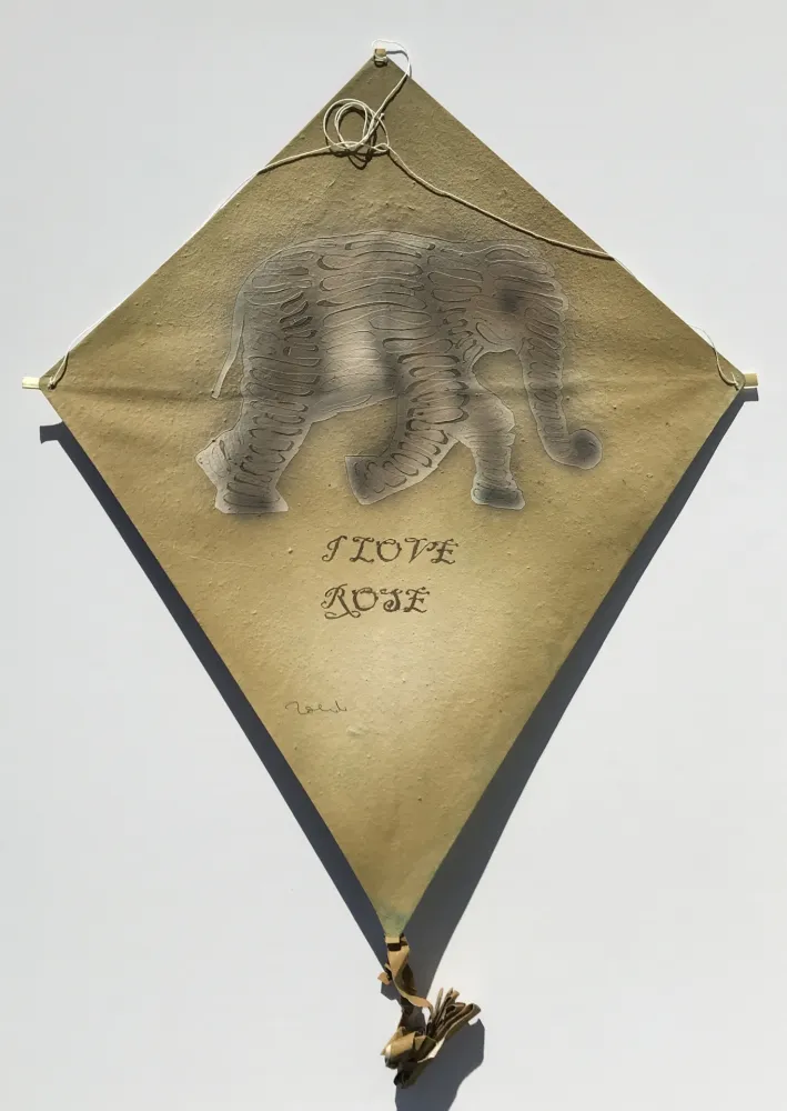 Geen Techniek Toledo - Elephant Kite 